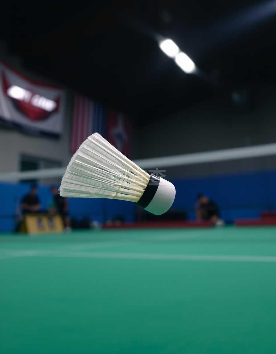 雪金牌背后 雪金牌背后