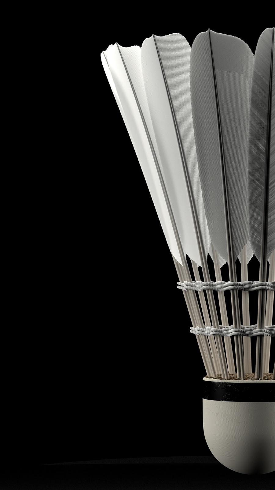 羽毛球运动 羽毛球运动