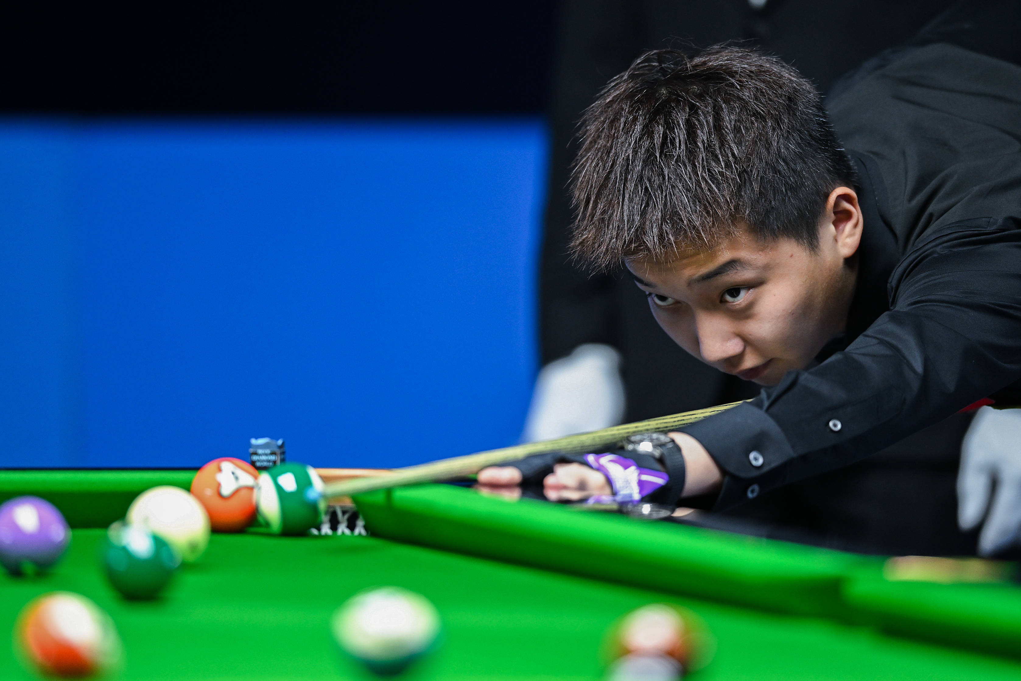 要求他们具 要求他们具