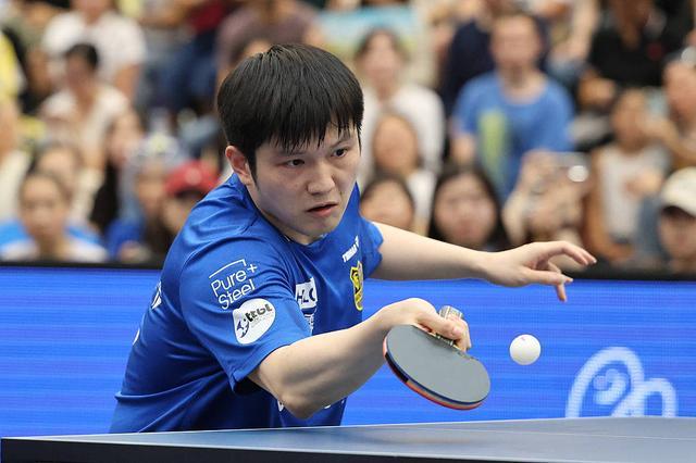 奇似乎没有 奇似乎没有